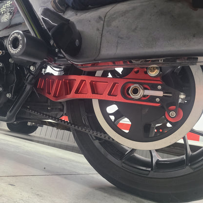 Harley Davidson 2009 - 2025+ Touring Billet Swingarm