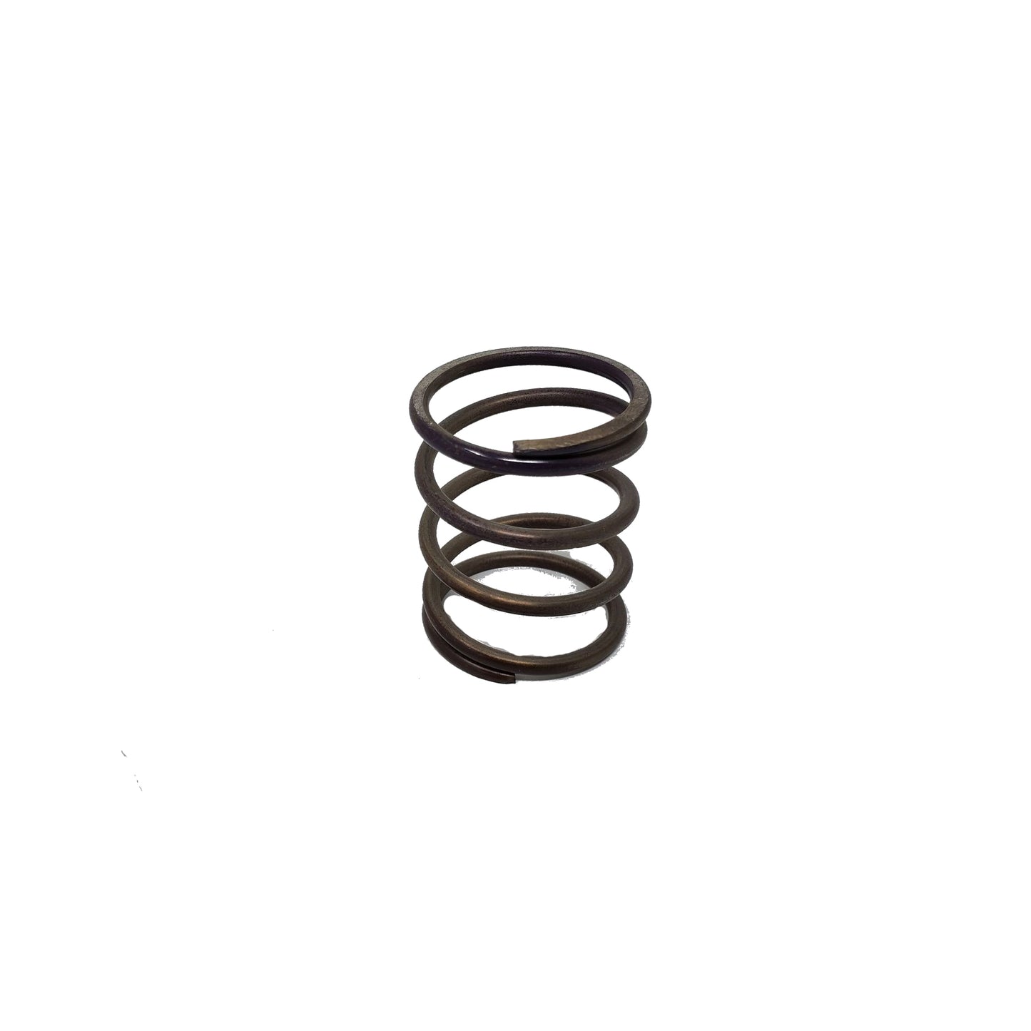 Wastegate Springs & Accessories