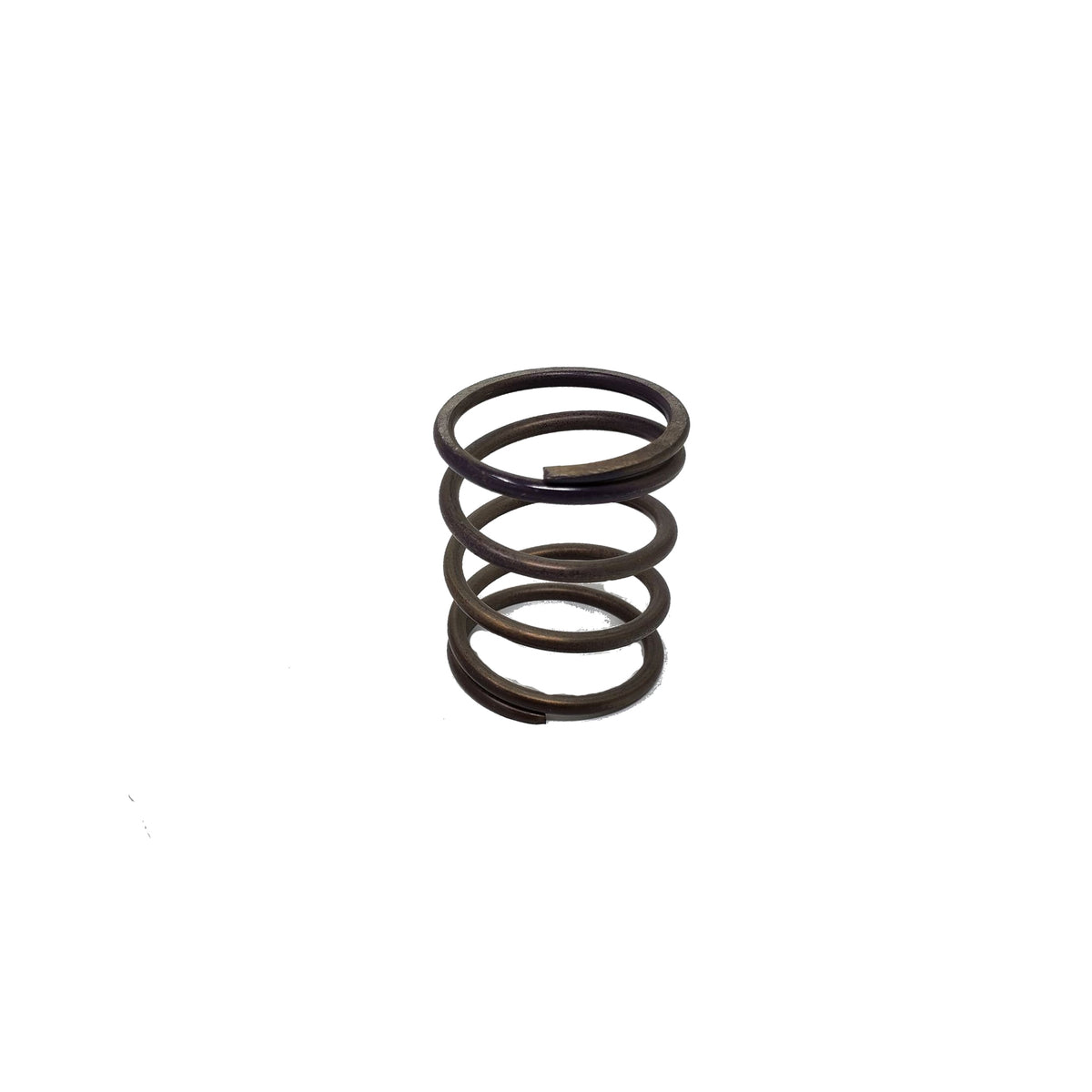 Wastegate Springs & Accessories Silber Turbos