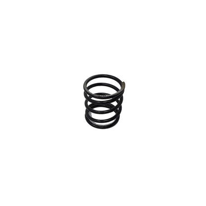 Wastegate Springs & Accessories